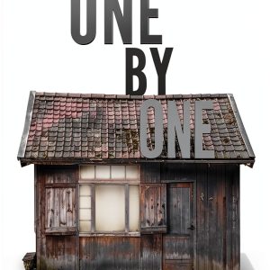 Psych Thriller Kindle eBook Hollywood Press-0